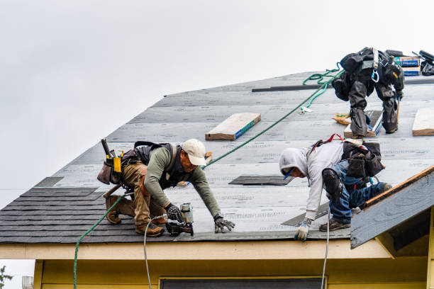 Professional Gutter Installation technician working in Fulks Run, VA